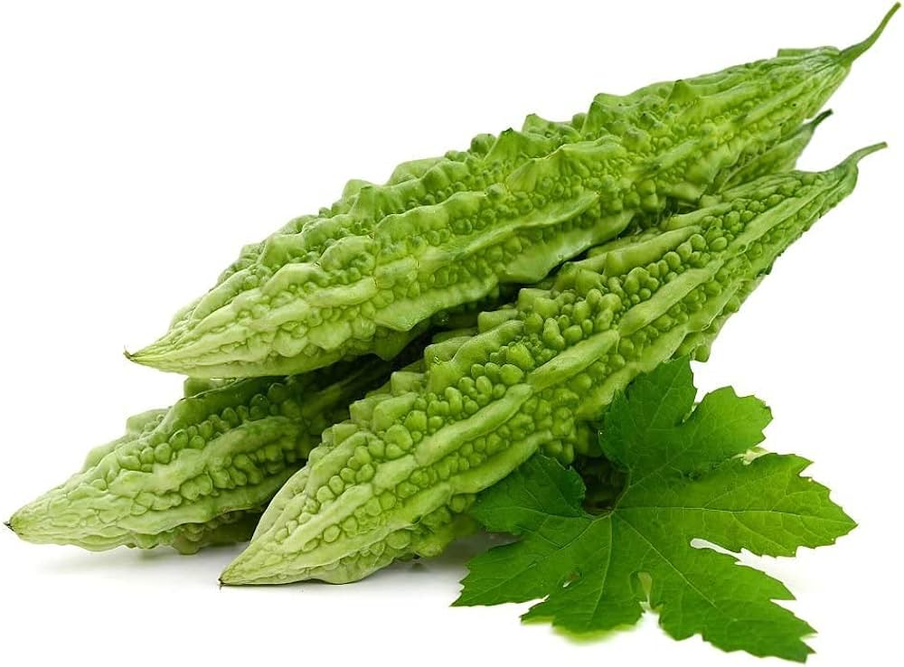 Bitter - Watermelon for planting in home garden